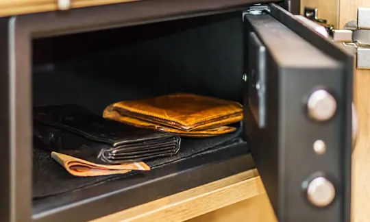 Pros and Cons of Fingerprint Safes