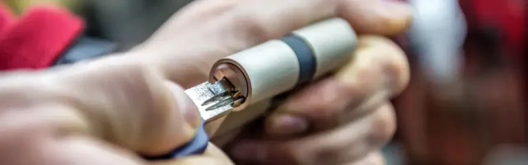 Everything You Need To Know About Euro Cylinder Locks