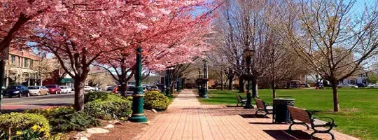 Locksmith services in Branford