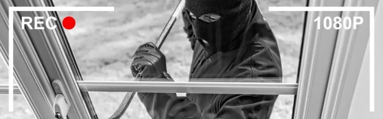 What are burglars most afraid of