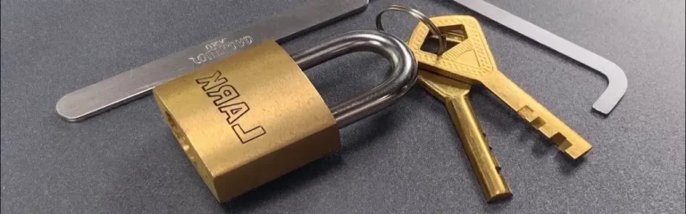 How does a disk detainer lock work