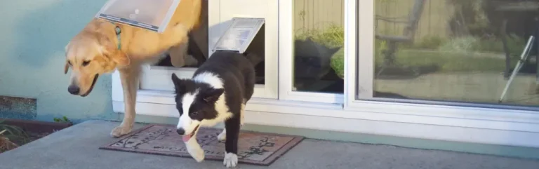 Burglar-Proofing a Doggy Door